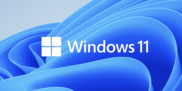 Should Your Business Upgrade To Windows 11?